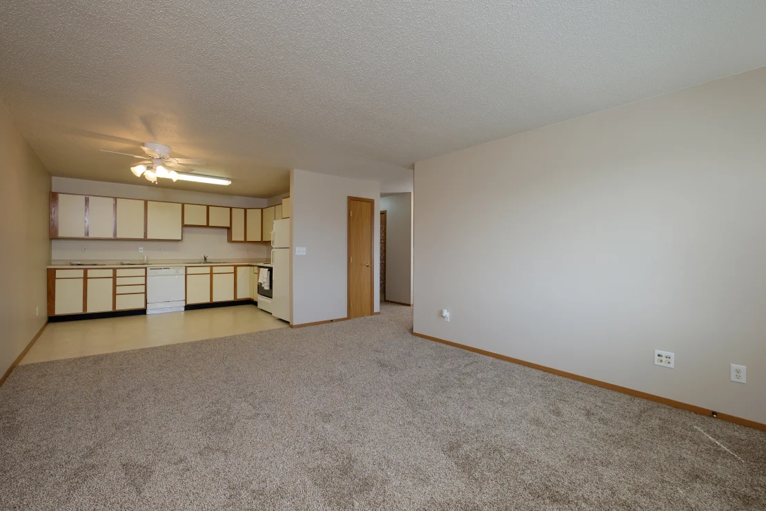 Open Kitchen and Living Room