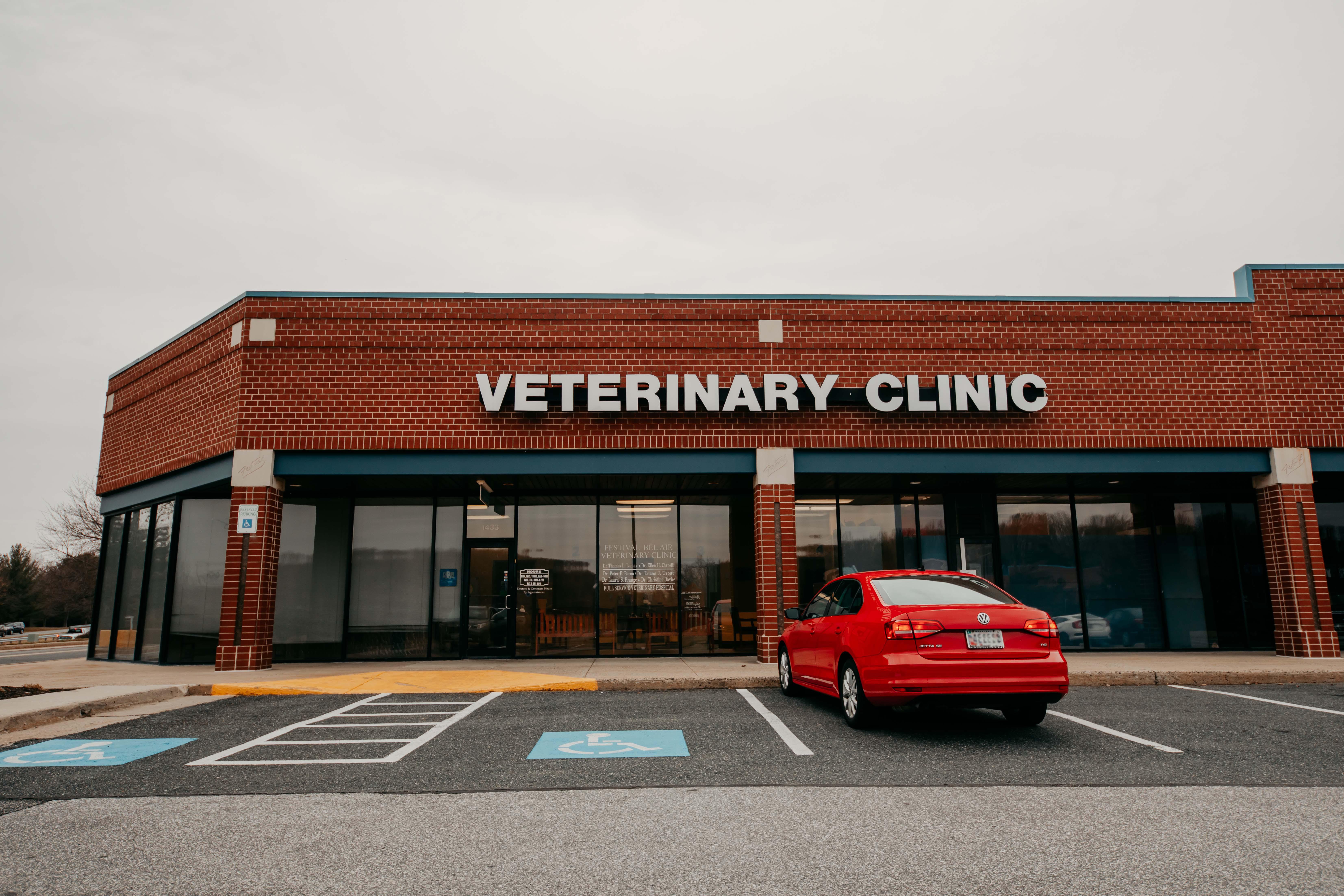 Welcome to Festival Veterinary Clinic!