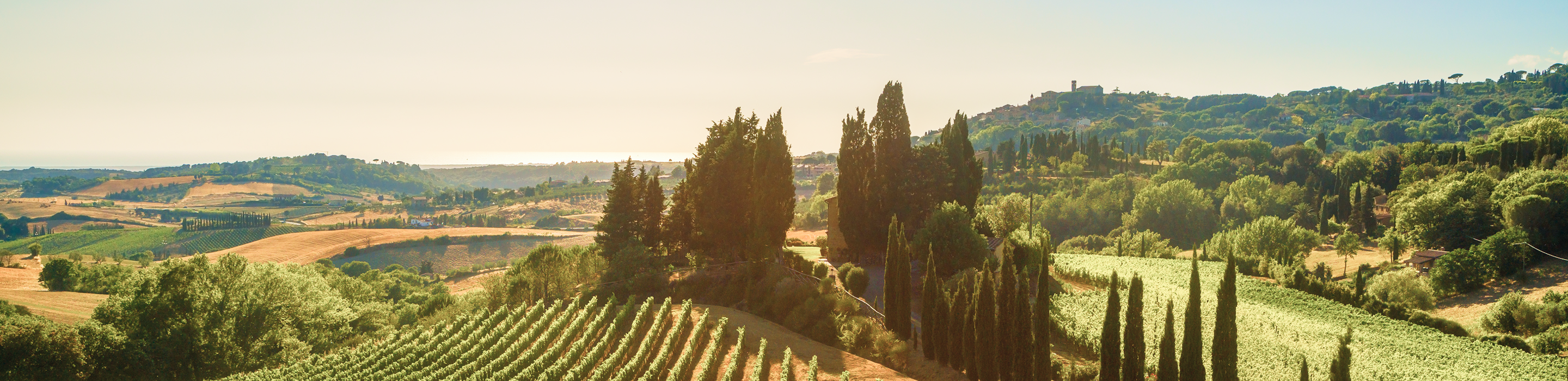 A sunlit Tuscan landscape.
