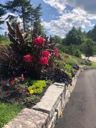 Images Greenleaf’s Garden Design