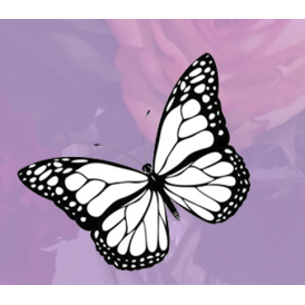 Forget Me Nots Fine Floral & Gifts