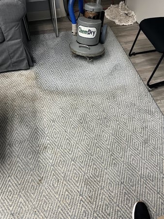Images Raleigh Chem-Dry Carpet and Upholstery Cleaning