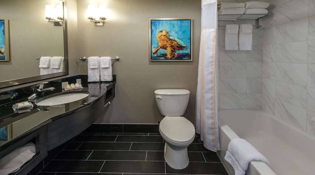 Guest room bath