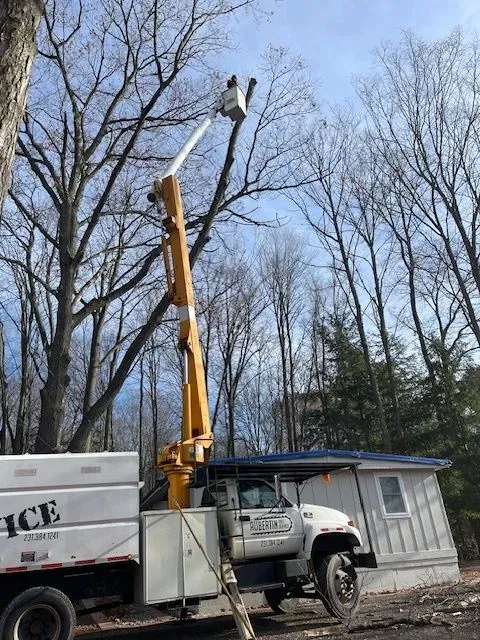 Aubertin Tree Service Image