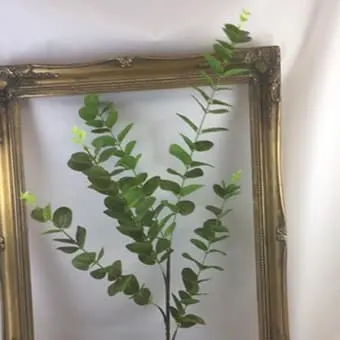 Images Village Green Wholesale Ltd