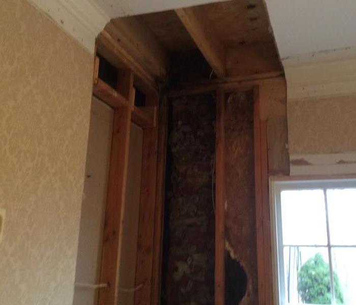 Ceiling and wall Mold Damage