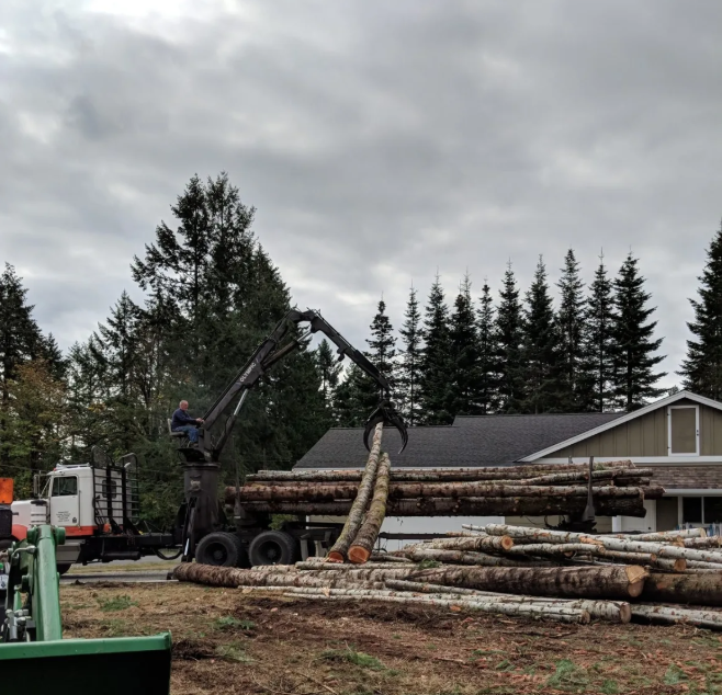 White's Tree Care Image