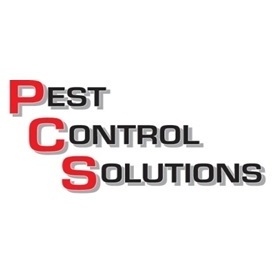 Pest Control Solutions - Mesa, AZ 85204 - (480)963-2077 | ShowMeLocal.com