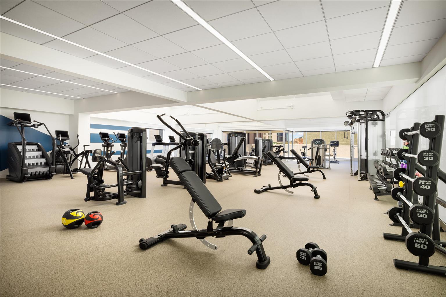Health club  fitness center  gym 