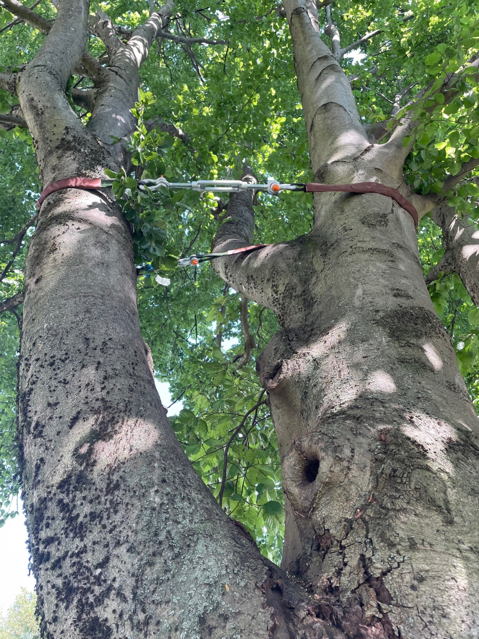 ihrbaum.ch, Tobelstrasse 21 in Hinwil