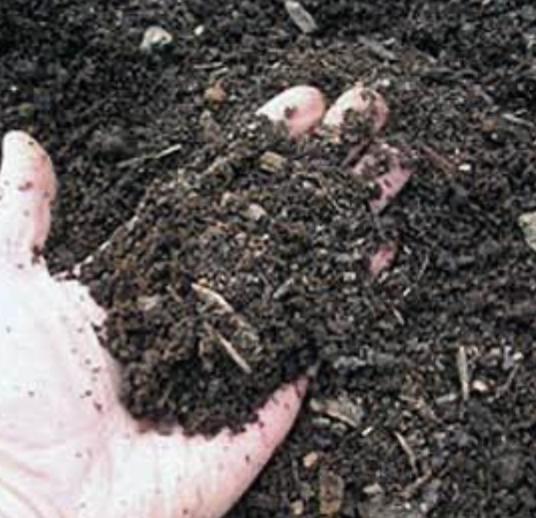 Top Dressing (soil) 70% Compost 30% Concrete Sand Bulk (per cu. yd.)
Enhances soil fertility and promotes healthy plant growth.
Provides excellent drainage and moisture retention for optimal plant health.
Convenient bulk packaging for large-scale landscaping projects.
The Top Dressing 70% Compost 30% Concrete Sand Bulk is a versatile soil mix that is perfect for enhancing the health and appearance of your landscape. With its rich brown color, this top dressing adds a natural and organic touch to your garden beds, flower pots, and lawns. Its bulk container size ensures that you have an ample supply to cover a large area, making it ideal for professional landscapers and avid gardeners alike. Created by SiteOne, a trusted brand in landscape supplies, this top dressing is part of their Compost and Sand series, ensuring high quality and reliable performance. Transform your outdoor space with this top dressing and enjoy a vibrant and thriving landscape.
APEX
Cary
Fuquay-Varina
Holly Springs
New Hill
Morrisville
Feltonville
Friendship
Moncure
Wilsonville
Bells
Pittsboro
DURHAM
Morrisville
Research Triangle Park
Cary
Carpenter Village
Clegg
Carrboro
Genlee
Southpoint
Bethesda
Mebane
Blands
Oak Grove
Chapel Hill
Hillsborough
Friendship
RALEIGH
Rolesville
Knightdale
Wake Forest
Wendell
Zebulon
Youngsville
Lizard Lilck
Eagle Rock
Wakefield
GARNER
Clayton
Willow Springs
Smithfield
Wilsons Mills
Archer Lodge
Fuquay-Varina
White Oak
Glen Laurel Road
Auburn
Turner Farms
Clevelands Oaks
Riverwood Dr
Flowers
McGee Crossroads
Siteone Landscape Supply
Triangle Landscape Supplies