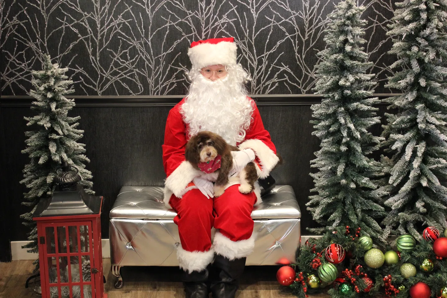 Image of Local Pet Event Selfies with Santa - Valpo Nearby
