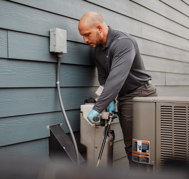 Images Aruza Pest Control