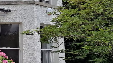 Murphy's Property Maintenance 9