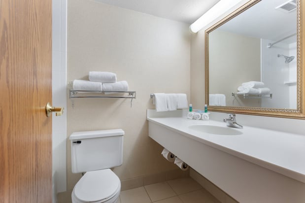 Images Holiday Inn Express Chicago-Downers Grove by IHG