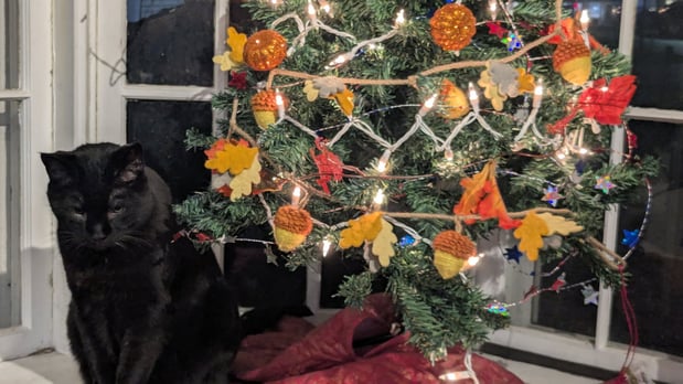 Images Marie Molnar - State Farm Insurance Agent