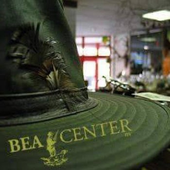 Bea Center Logo
