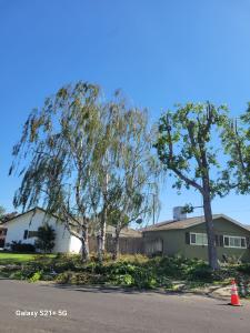 4 Winds Tree Service - Residential tree care