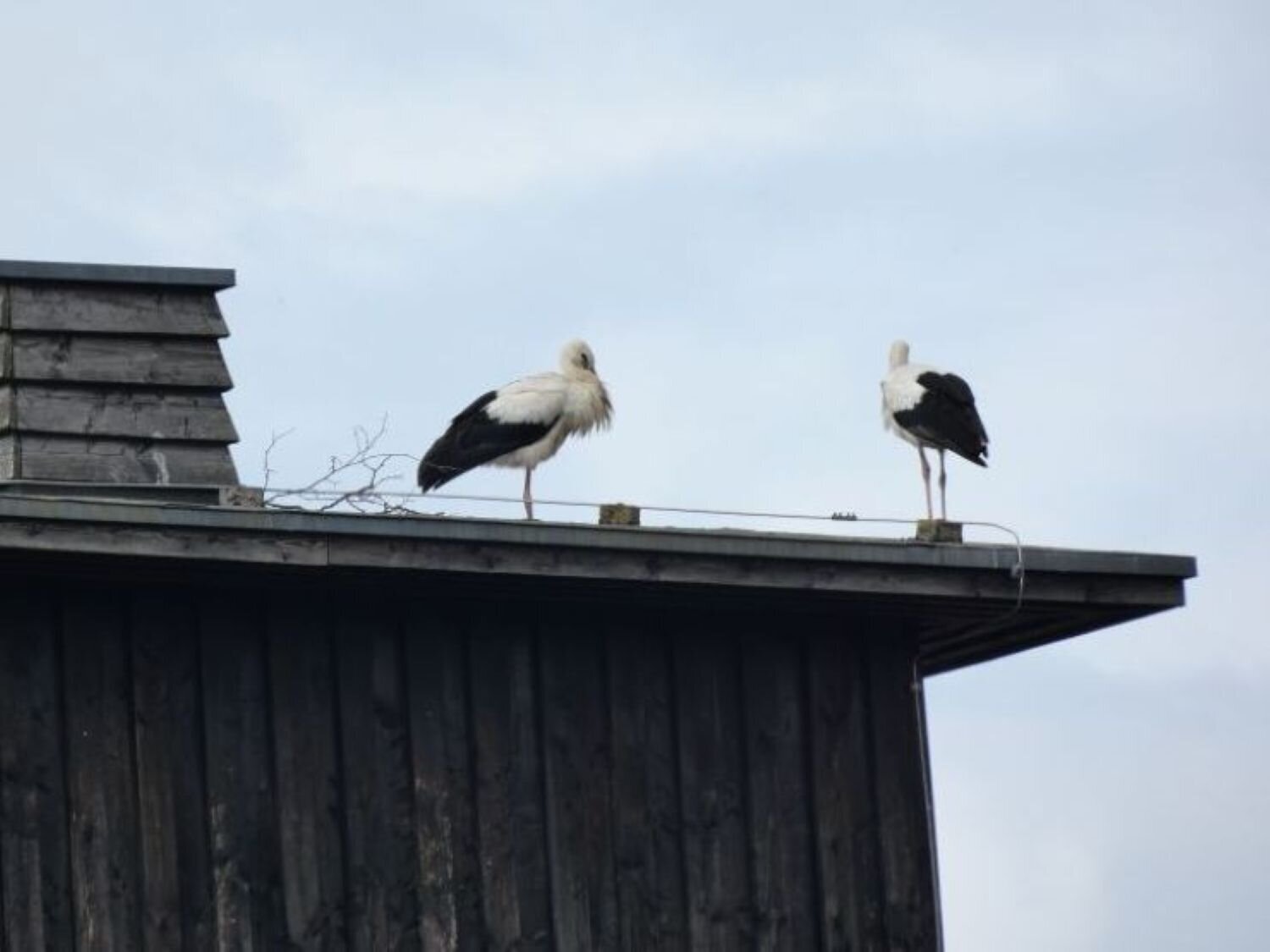Fewo am Schloss, Ivenacker Straße 28A in Stavenhagen