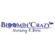 Bloomin' Crazy Nursery and More Logo