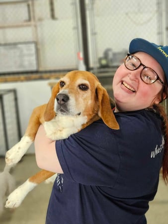 Images Playtime Pet Resort