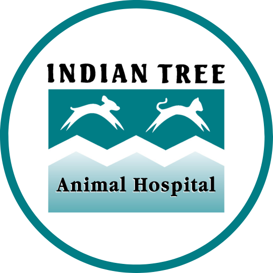 Indian Tree Animal Hospital Logo