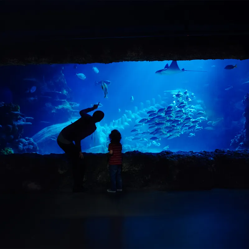Images SEA LIFE London Aquarium