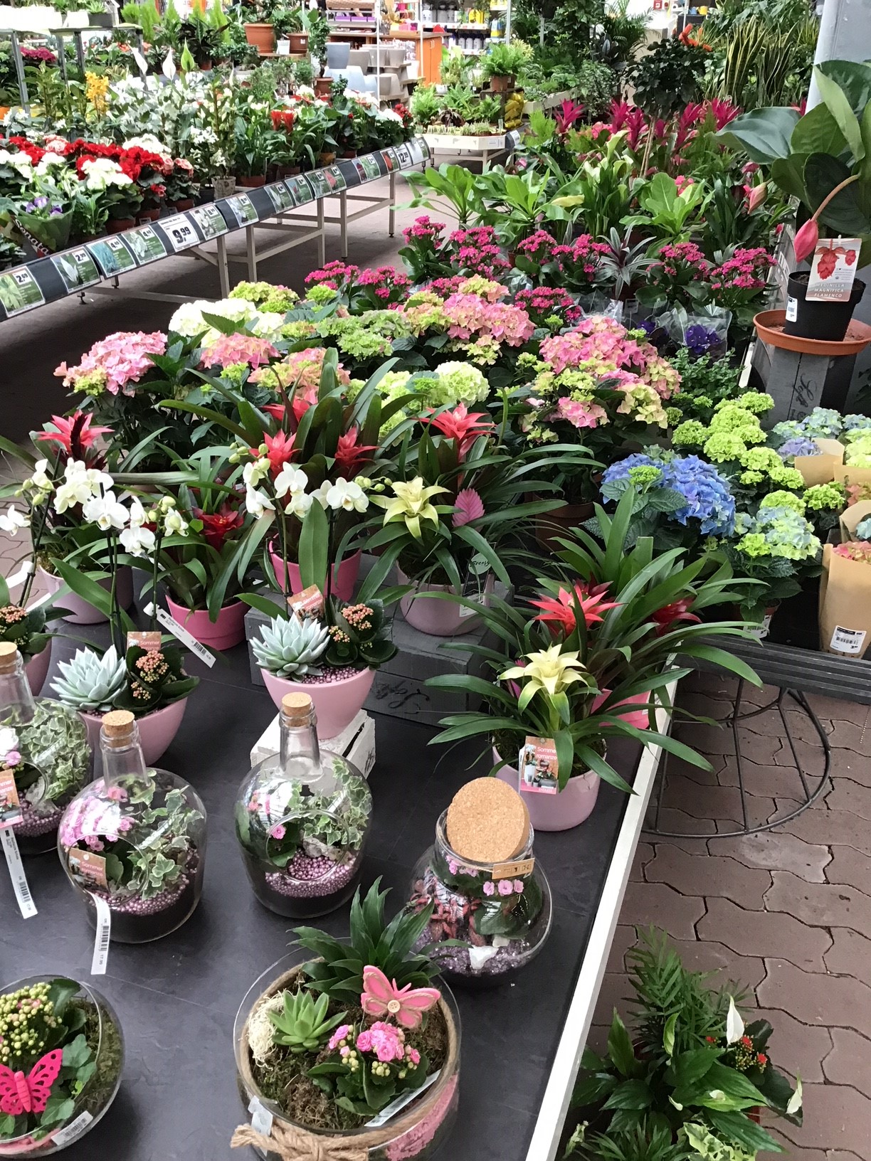 OBI Markt Naila • Naila, Kronacher Str. 38 Öffnungszeiten & Angebote