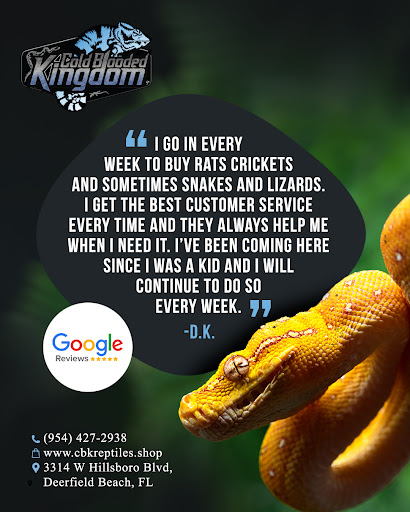 Images Cold Blooded Kingdom