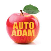 Auto ADAM in Zürich