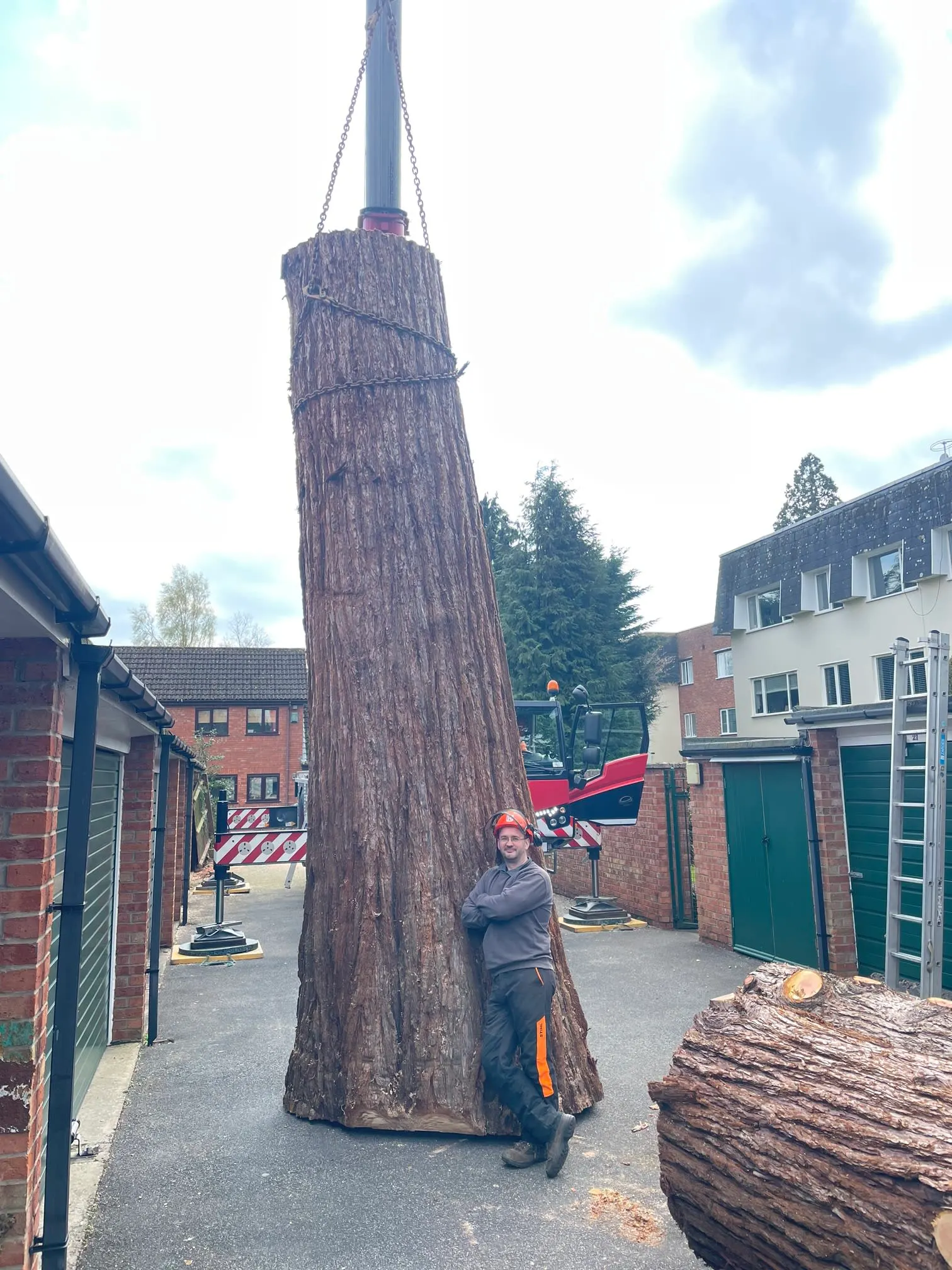 Images Tree Wise Men Warwickshire Ltd