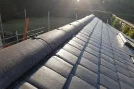 Images Steadfast Roofing and Building Ltd