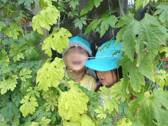 Images 幕張本郷すきっぷ保育園