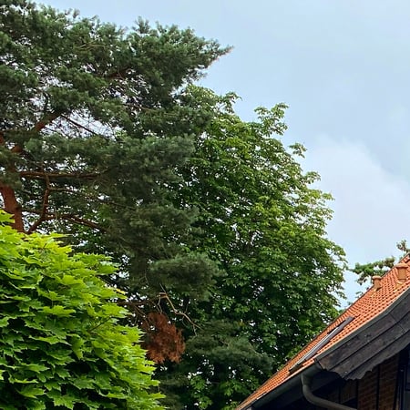 Bilder Das Landhotel "Zur Mühle"