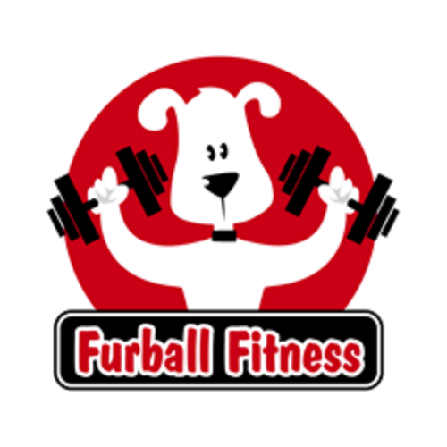 Furball Fitness Dog Walking & Pet Care Logo