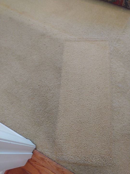 Images Joe Steamer Carpet Cleaner Inc