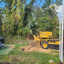 Images Lakes Region Tree and Stump Removal