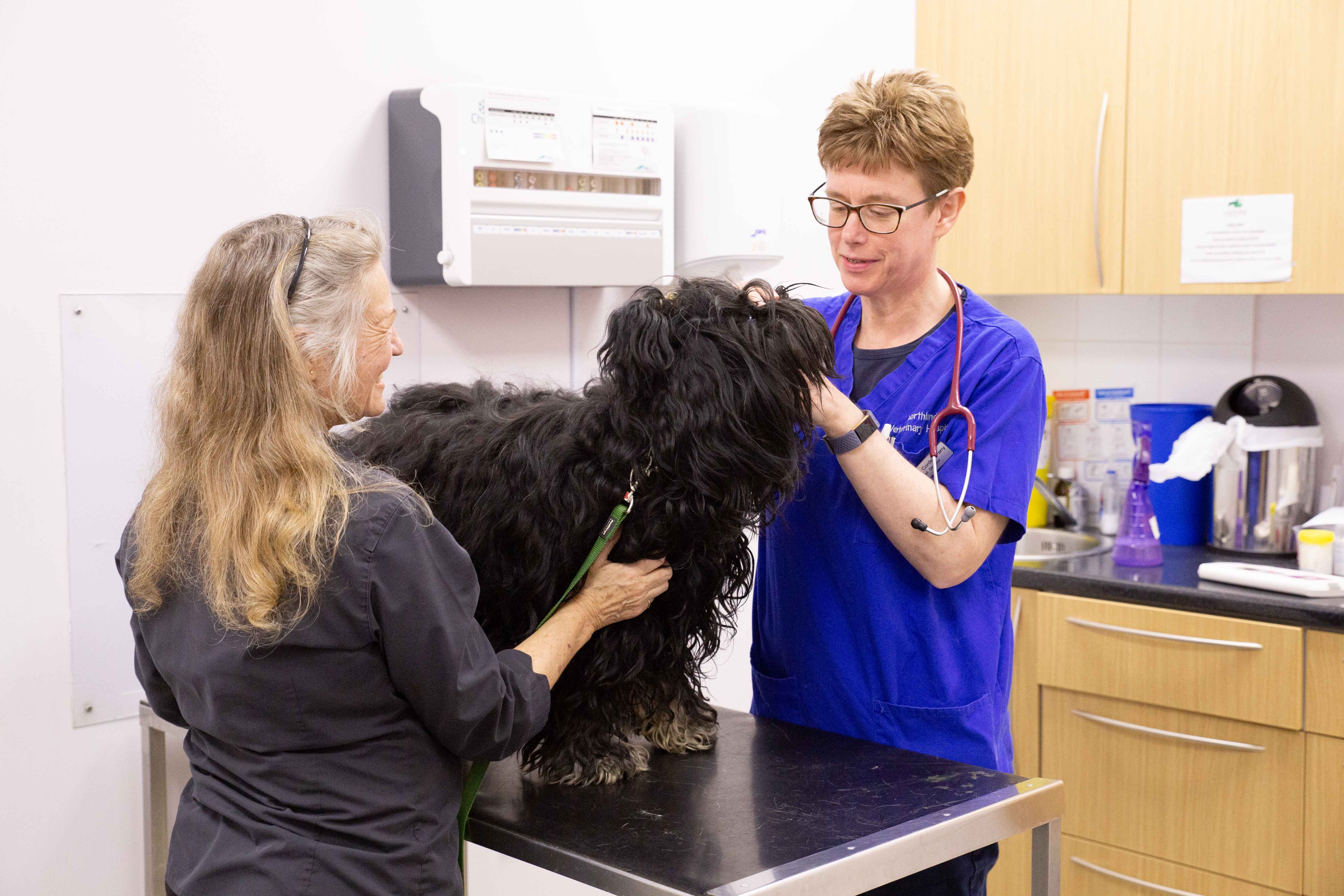 Images Northlands Veterinary Group, Corby