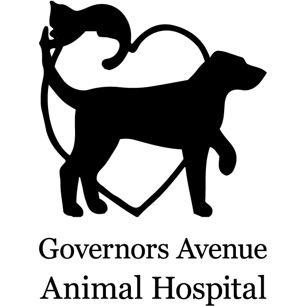 Governors Avenue Animal Hospital Logo