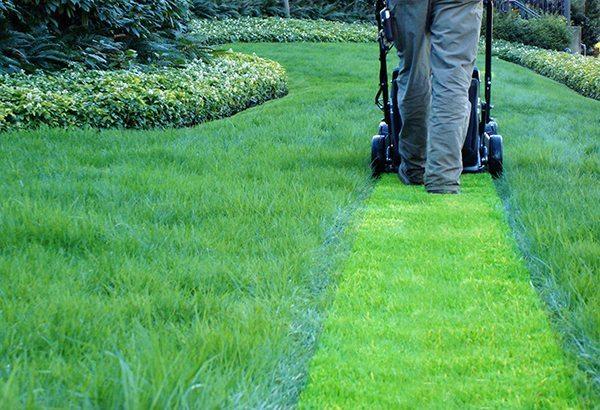 Images Ashburn Lawn Care