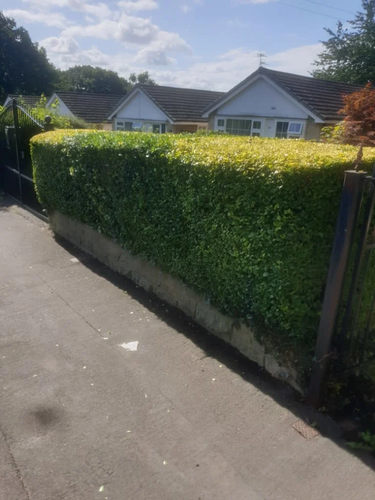 Images Goodalls Garden Maintenance