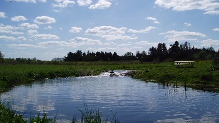 Images Tusågård Put and Take