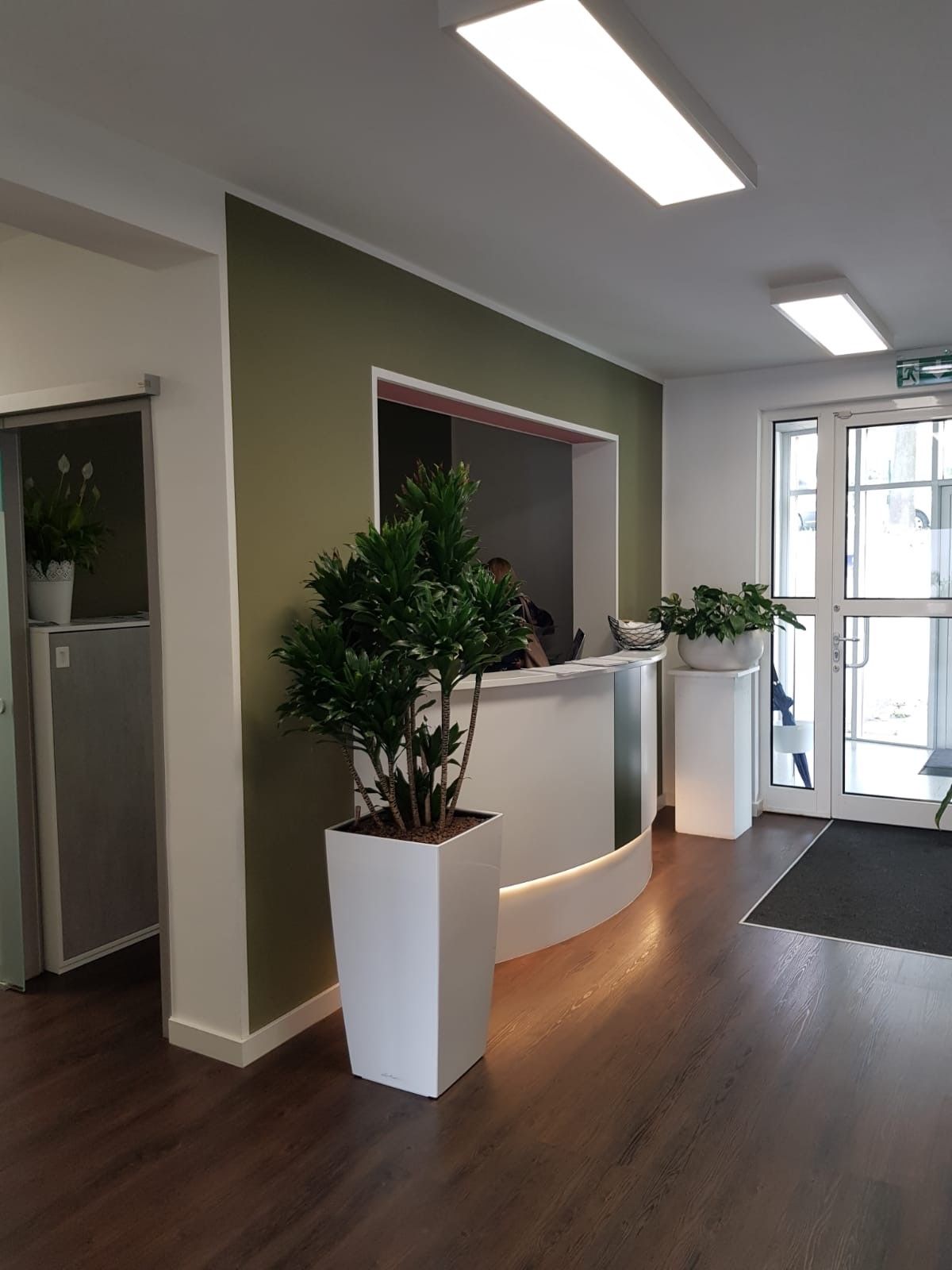 Dr. Siegfried J. Bachmayr, Melchartg 9 in Wien