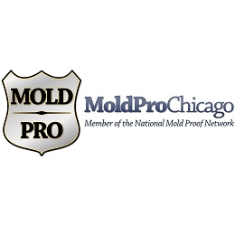 Mold Pro Chicago Logo