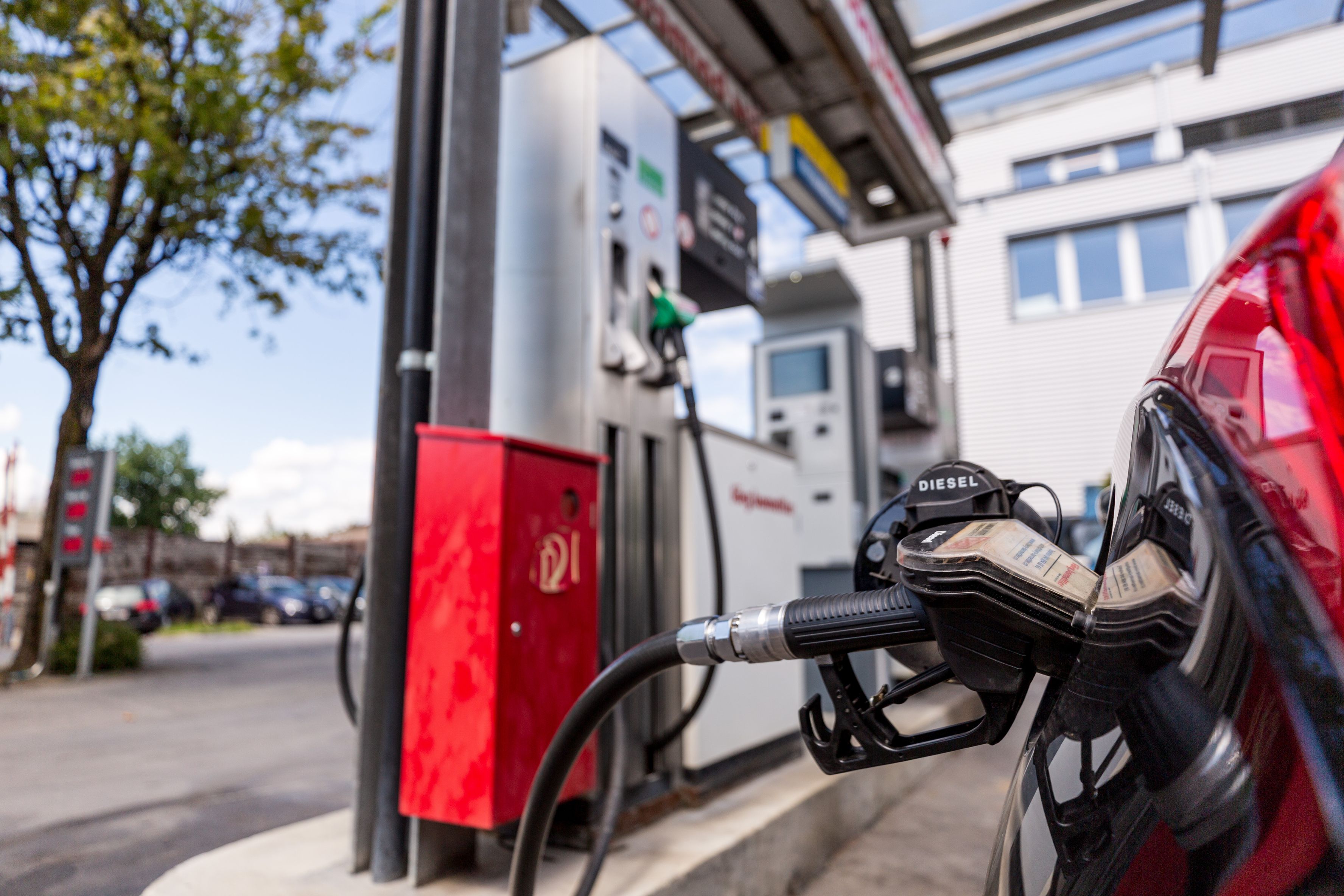 Bilder Föry Barmettler AG