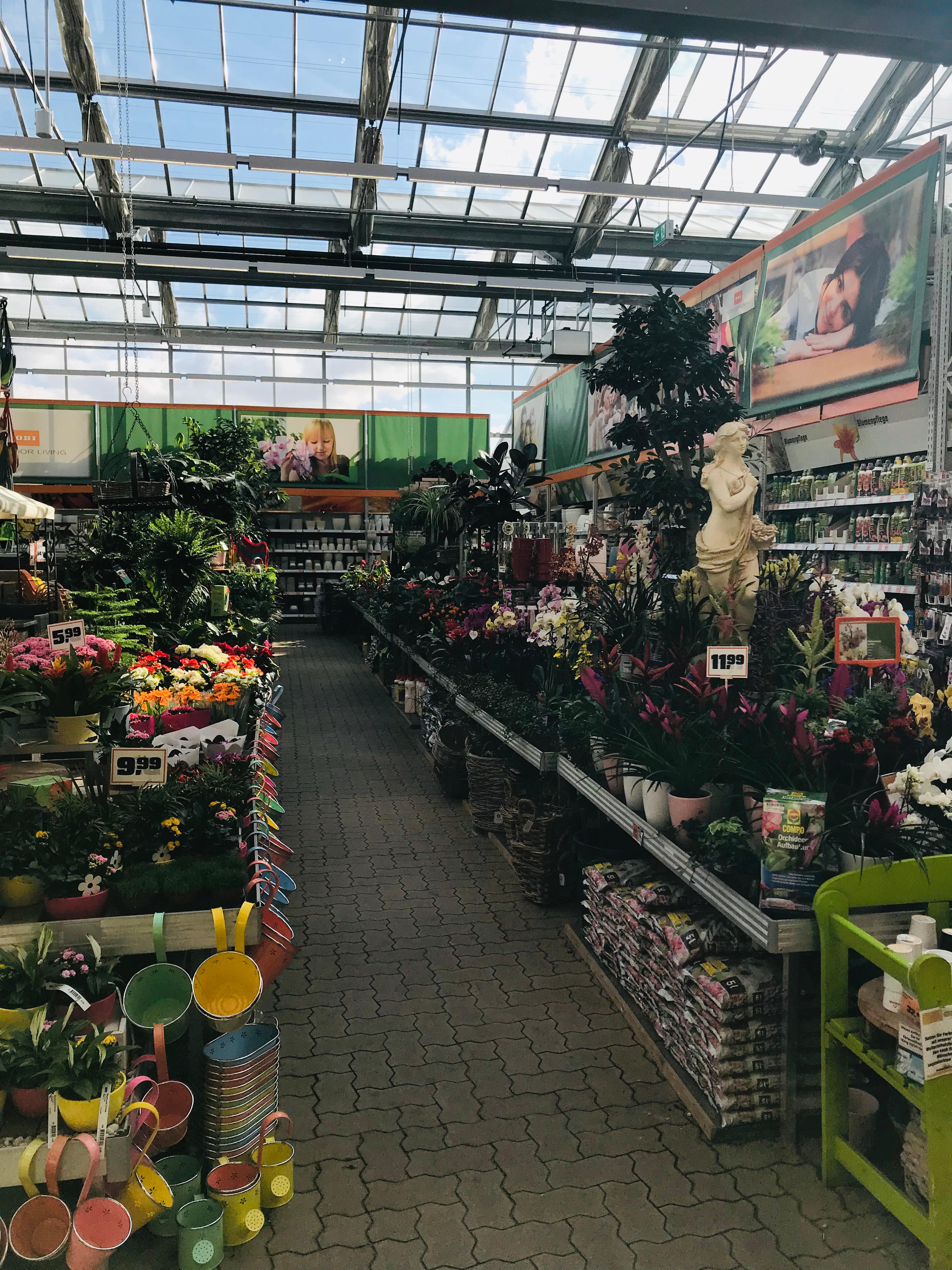 Bilder OBI Markt Hamburg-Neugraben