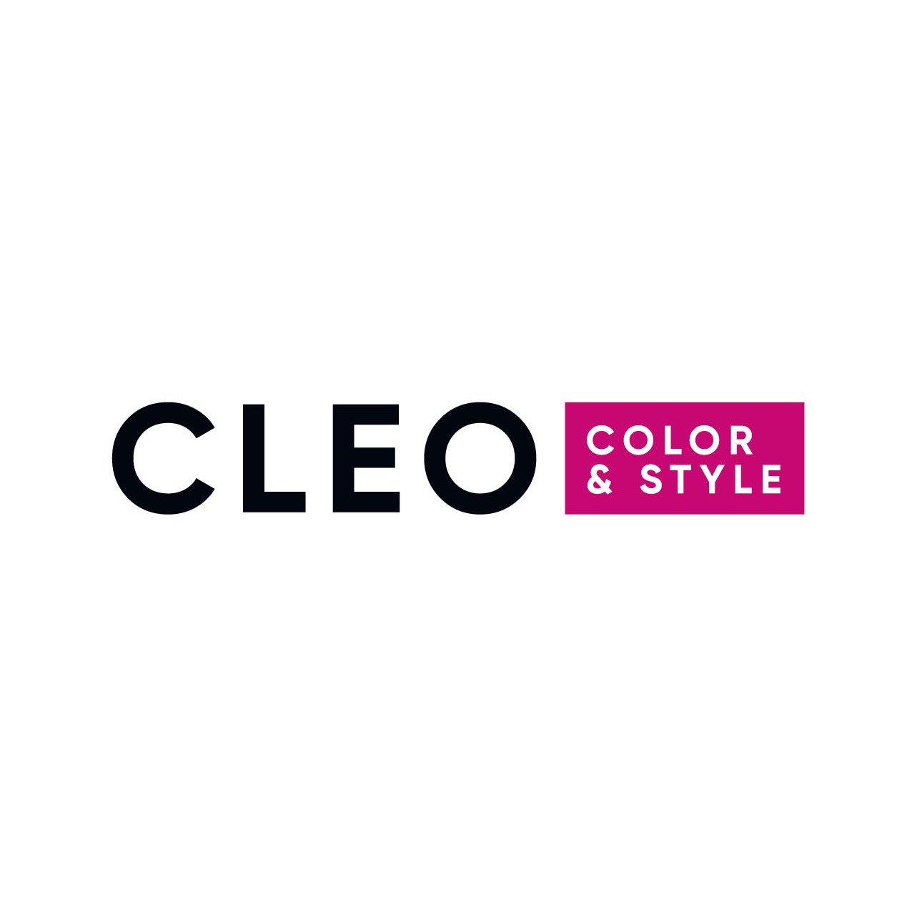 Logo Cleo Color & Style