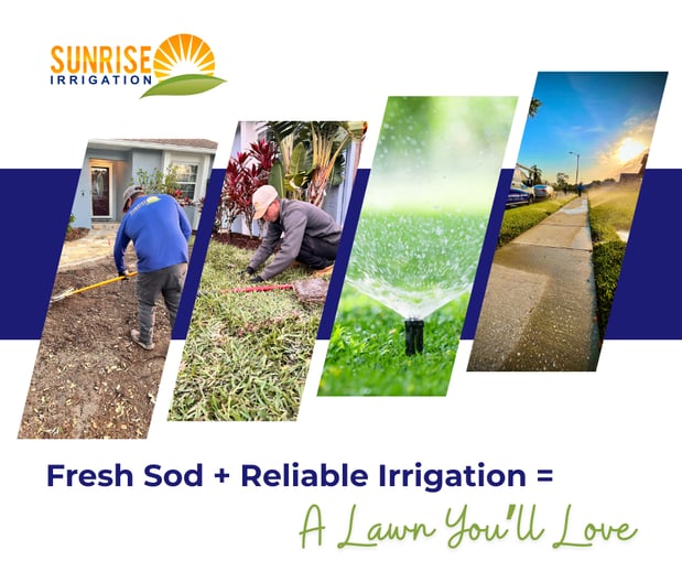 Images Sunrise Irrigation