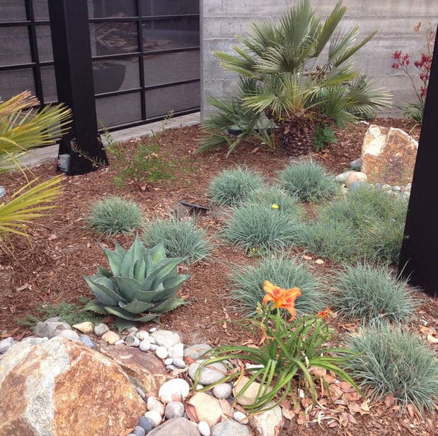 Images All Seasons Gardening & Landscaping