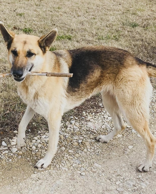 Images Valerie Bean - State Farm Insurance Agent